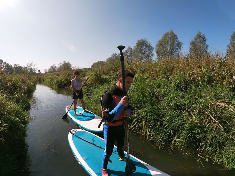 Two people stand-up paddleboarding along a narrow, reed-lined river in bright sunshine; the nearer paddler wears a wetsuit and buoyancy aid